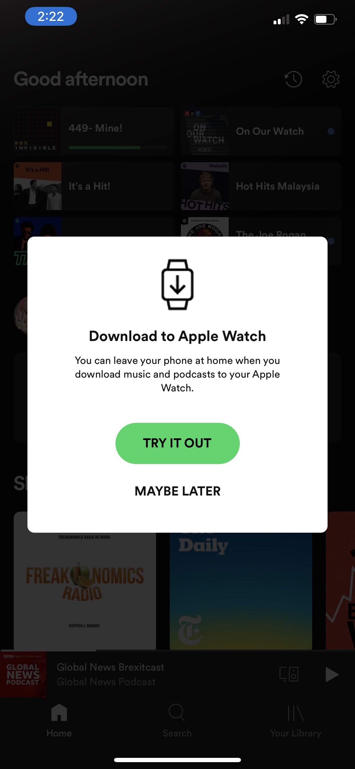 Spotify offline hot sale watch